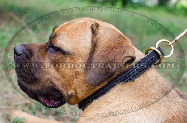 Leather Choke Cane Corso Collar Obedience Training