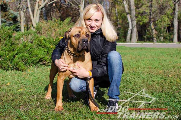 Stylish Leather Cane Corso Collar