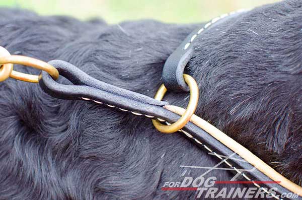 Durable Stitched Choke Dog Collar