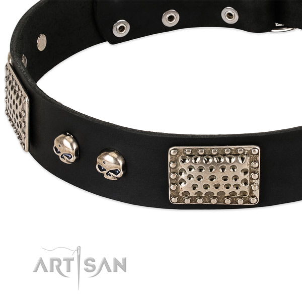 Chrome Plated Decorative Parts on Black Dog Collar