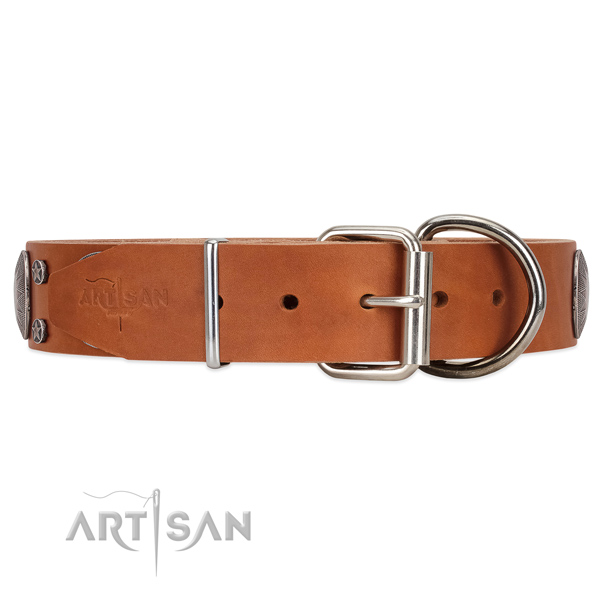 Leather dog collar with strong hardware