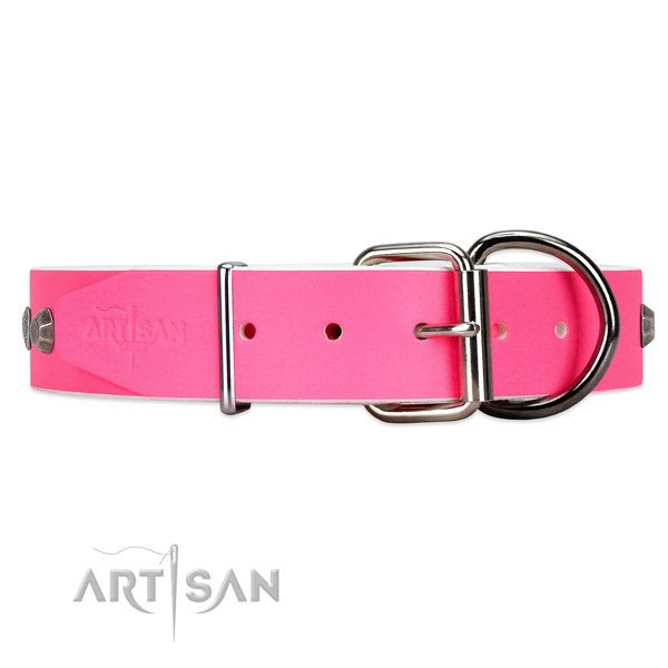 Leather dog collar with silver-like hardware