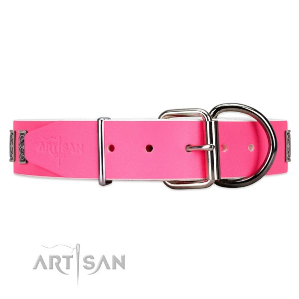 Leather dog collar with chrome-plated hardware