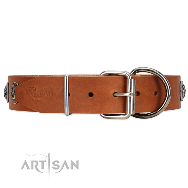 Leather dog collar with chrome plated hardware