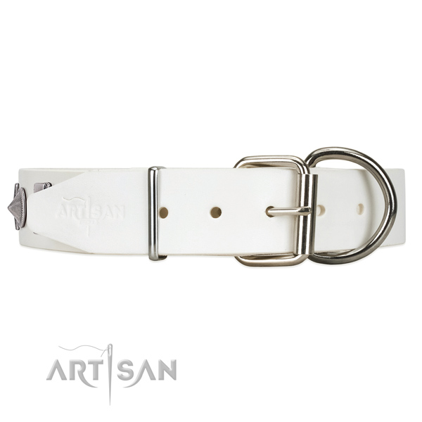 Leather dog collar with strong hardware