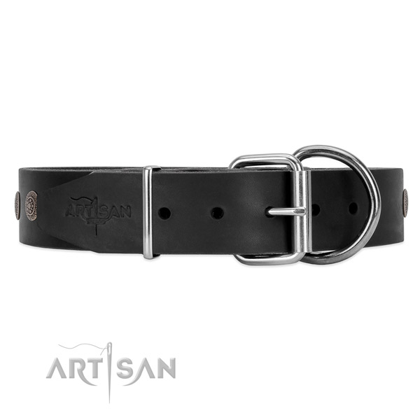 Leather dog collar with silver-like hardware