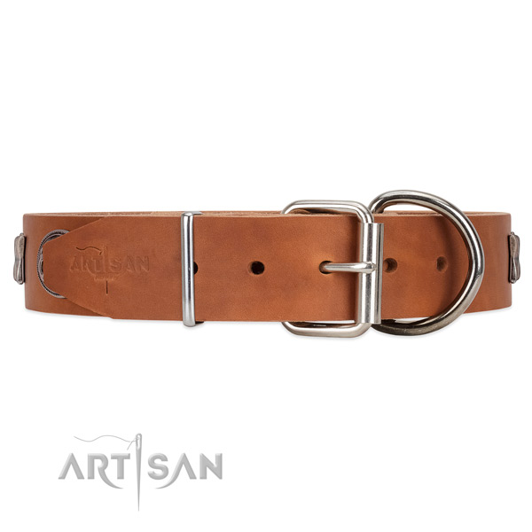 Leather dog collar with silver-like hardware