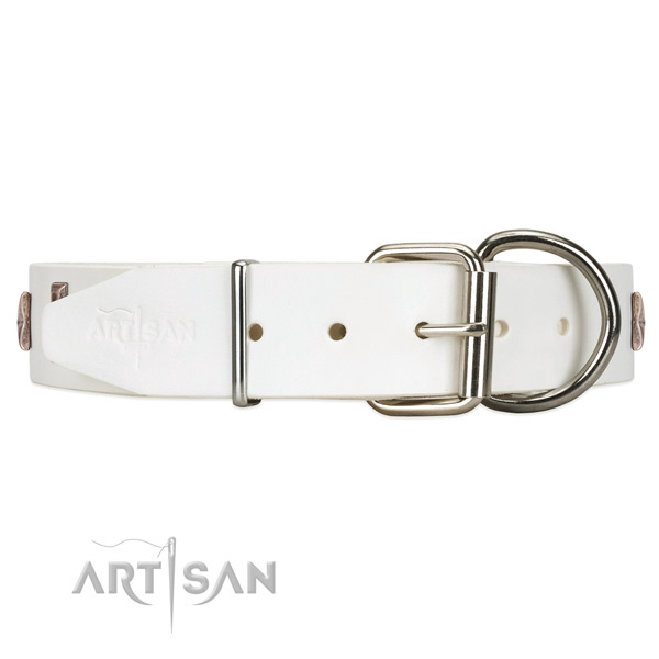 Leather dog collar with silver-like hardware