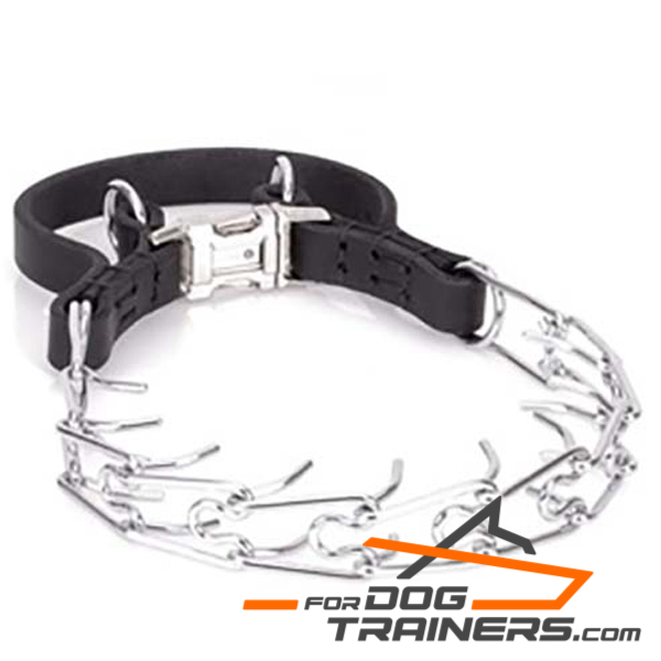 Chrome plated Dog Pinch Collar with Secure Buckle