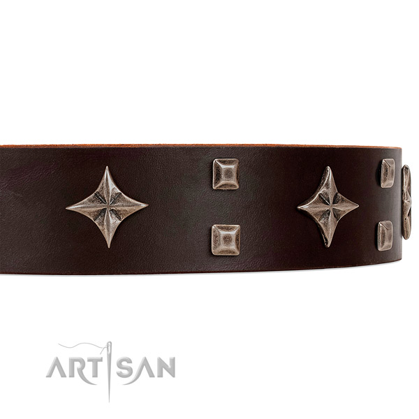 Premium quality leather dog collar with attractive stars and studs