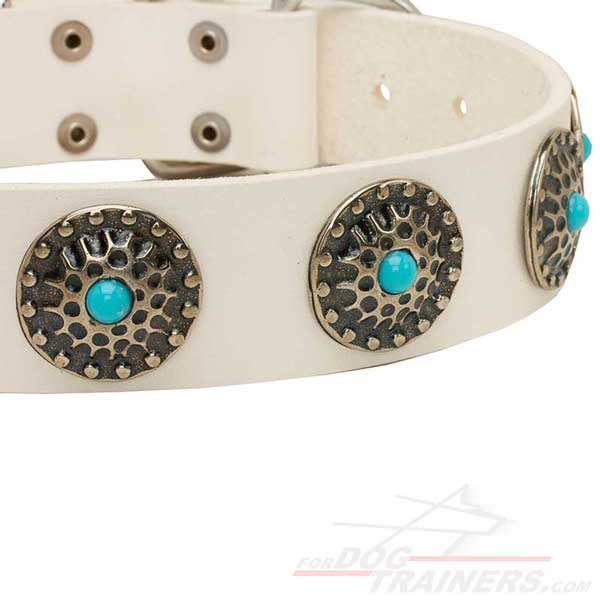 Circles with blue stones on Leather Cane Corso Collar