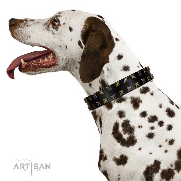 Dependable Dalmatian Artisan leather collar for pleasant pastime