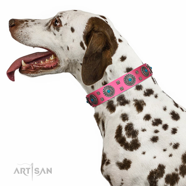 Royal quality dog collar for everyday walks