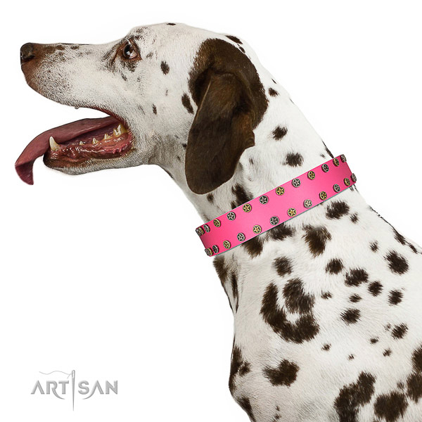 Decorated leather Dalmatian collar for comfortable walking