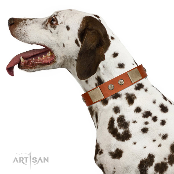 Adorned Full Grain Leather Dog Collar with Plates and Studs