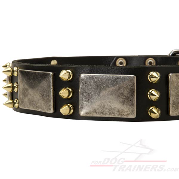 Extra Strong Leather Pitbull Collar