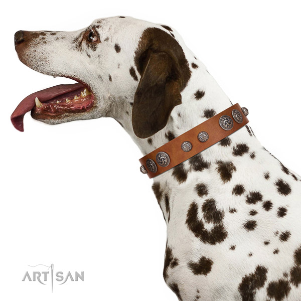 Stylish Dalmatian Collar of Soft Leather for Comfortable Wear