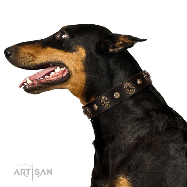 Wonderful Doberman Artisan leather collar for better control