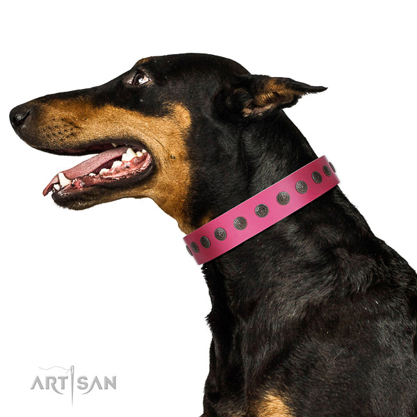 Extraordinary walking pink leather Doberman collar with chic decorations