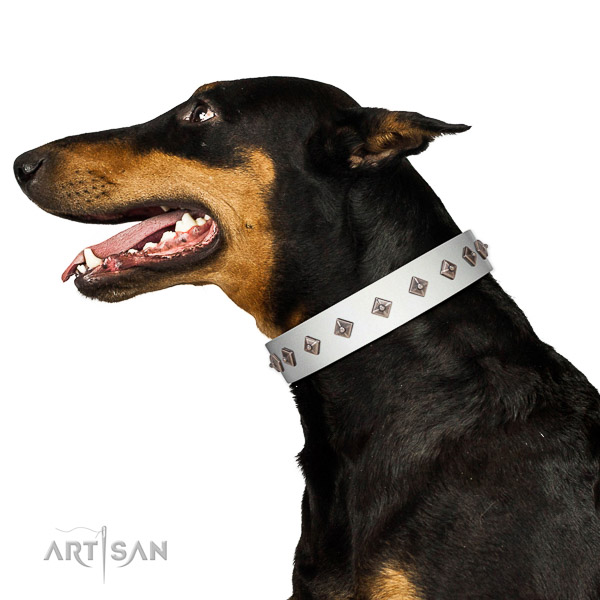 New elegant walking white leather Doberman collar with chic decorations