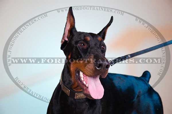 Doberman Collar Handcrafted