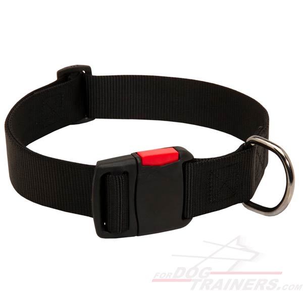 Dog Collar Nylon Adjustable Strap