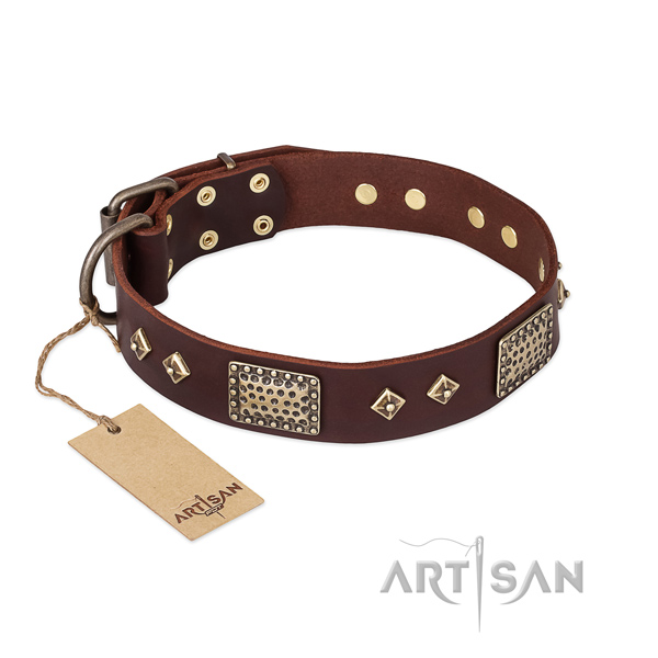 Decorative Leather Dog Collar for Safe Walking