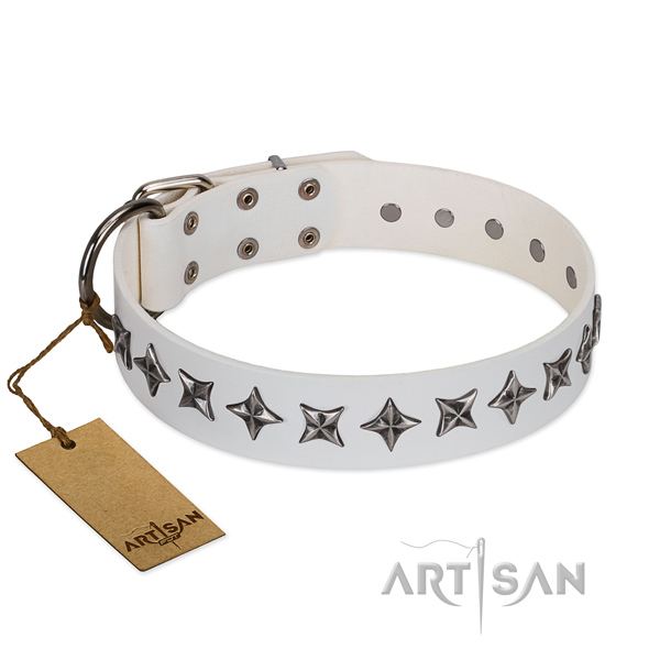 Trendy Dog Collar Equipped with Durable Hardware