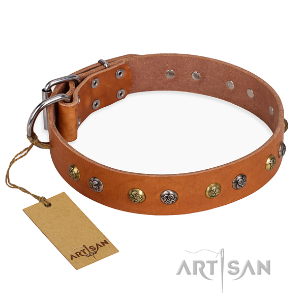 Leather Dog Collar with Engraved Studs