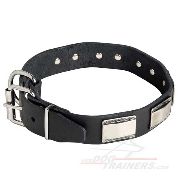Dog Leather Collar Nickel Plated Hardware