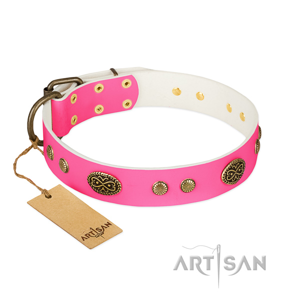 Decorative Leather Dog Collar for Safe Walking