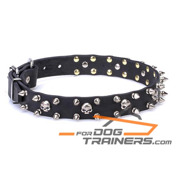 Thin Dog Collar with Rust Resistant Decorations
