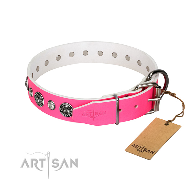 Stylish Dog Collar Adorned with Studs