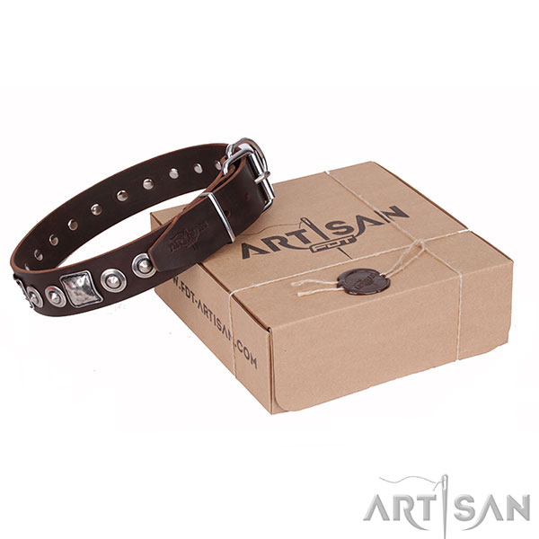 Trendy Brown Dog Collar Made by Artisan