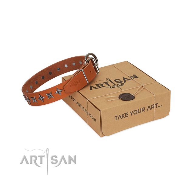 Stylish Tan Leather Dog Collar with Stars 