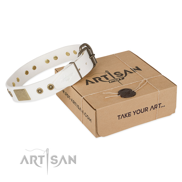 Stylish White Leather Dog Collar with Goldish Plates and Circles