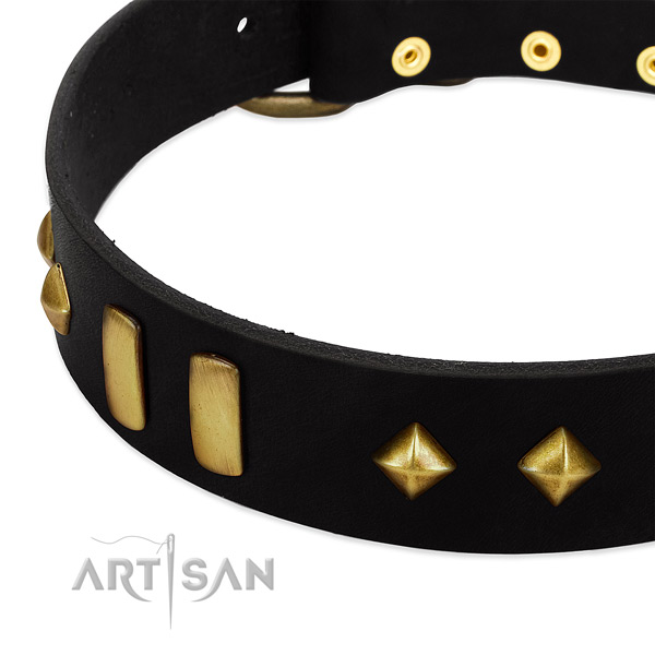 Stunning design leather dog collar with old- bronze-like plates and studs