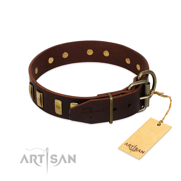 Unique Leather Dog Collar Adorned with Bronze-like Plated Adornments