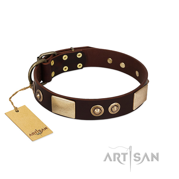 Brown leather dog collar adorned with plates and studs