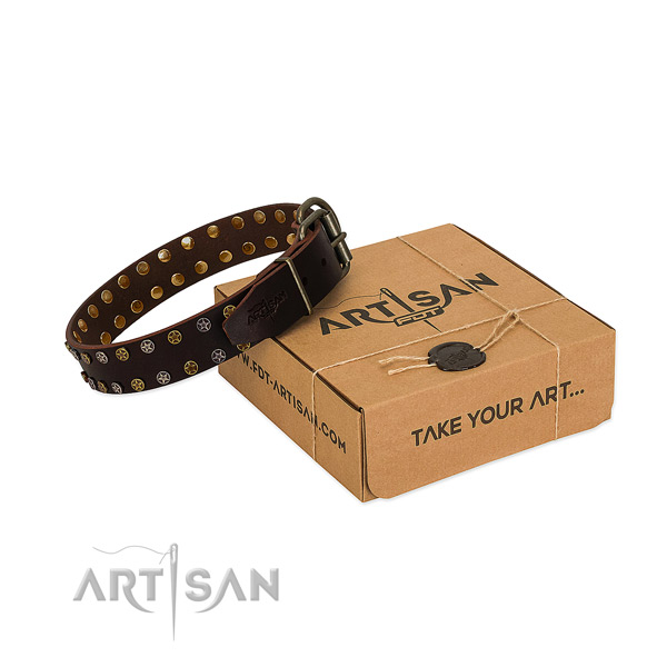 Strong brown leather dog collar with decorations