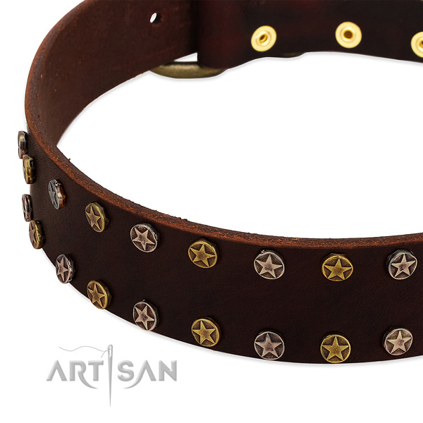 Old-bronze-like stars hand set in 2 rows on FDT Artisan dog collar