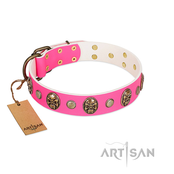 Pink leather dog collar with polished fittings