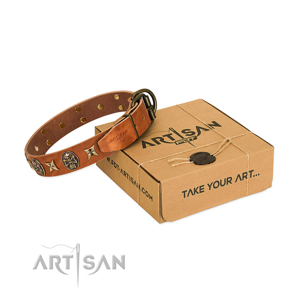 Tan leather dog collar with extraordinary set of decorations of amazing quality