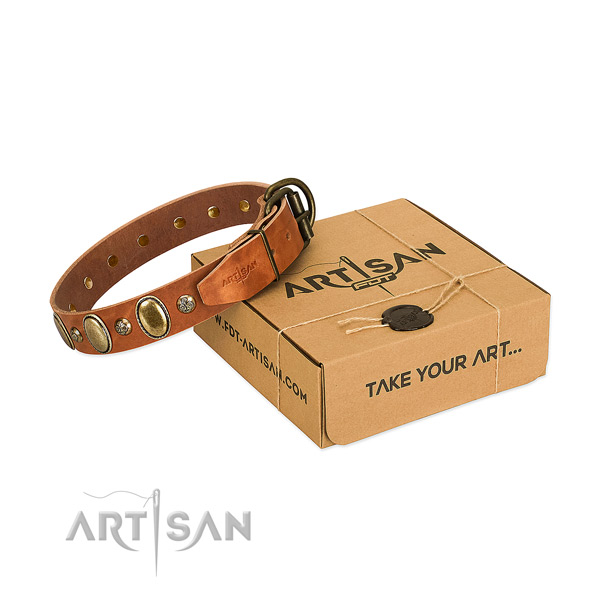 Handmade tan leather dog collar to stand out among other dogs