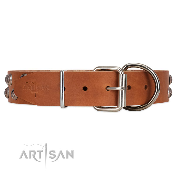 FDT Artisan leather dog collar equipped with chrome-plated hardware