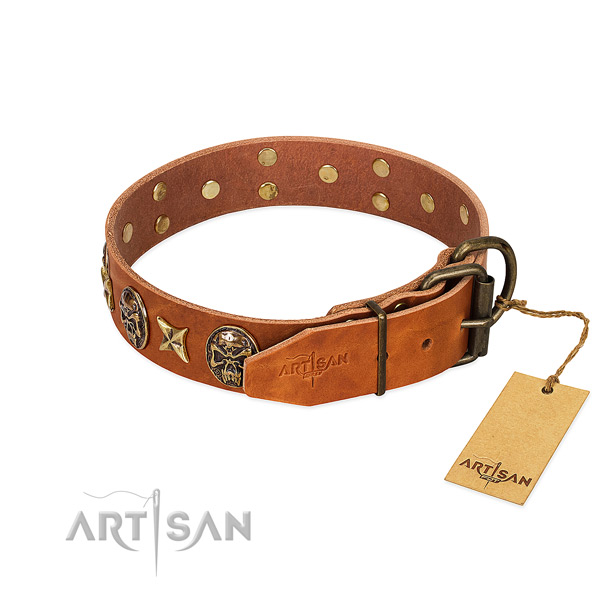 Tan dog collar with old bronze-like hardware