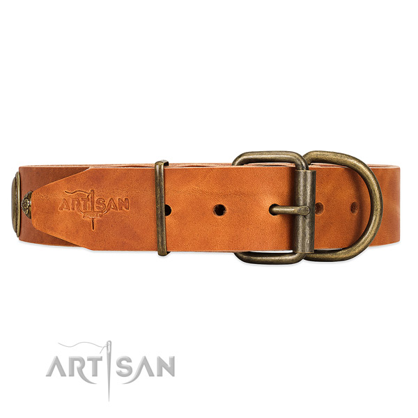 Tan dog collar with old bronze-like hardware