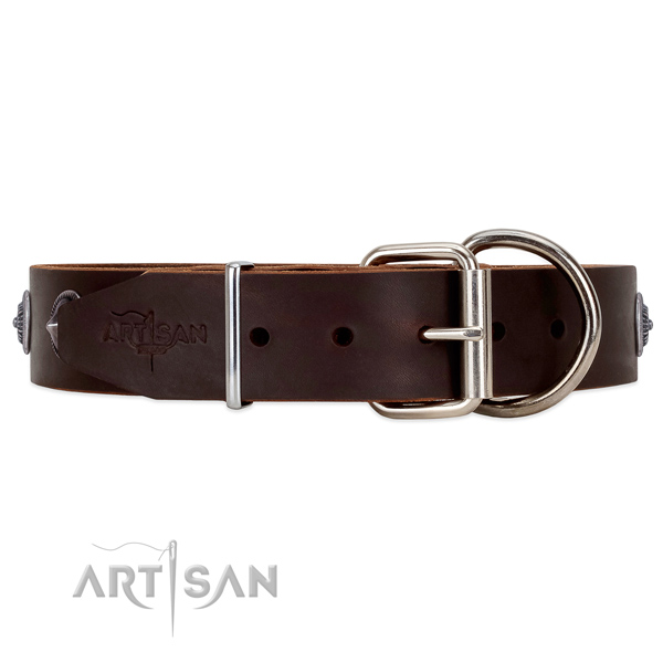 Unique style Brown leather dog collar with tough fittings