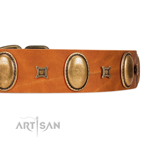 Deluxe style tan leather collar with hardware