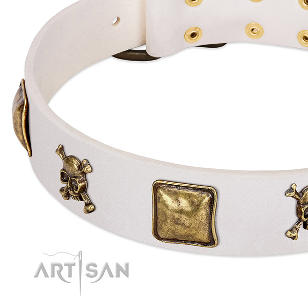 FDT Artisan dog collar adorned with skulls and crossbones in combination with squares